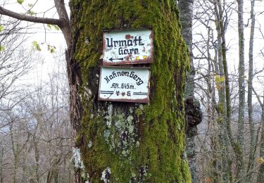 Tour Wandern Mühlbach an der Breusch - Muhlbach sur Bruche - Photo