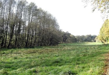 Tour Zu Fuß Auetal - WE 2 Das liebliche Walterbachtal - Photo