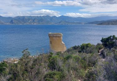 Trail Walking Saint-Florent - st Florent phare de Motella et plage Lotu - Photo