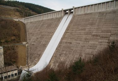 Randonnée A pied Unterweißbach - Naturlehrpfad Wasser - Photo