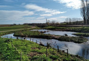 Randonnée Marche Villepreux - Villepreux - Rennemoulin par le ru de Gally - Photo