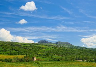 Percorso A piedi Bobbio - Mezzano Scotti - Areglia - Costa della Rasa - Photo