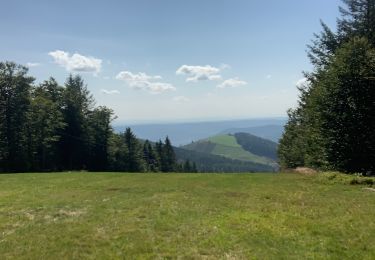 Tocht Mountainbike Le Ménil - Frère Joseph  - Photo