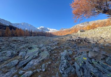 Trail Walking Saint-Dalmas-le-Selvage - Tête de la Clape - Photo