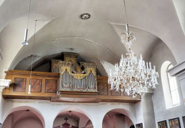 Tour Zu Fuß Gemeinde Poysdorf - Altruppersdorfer Weg - Photo