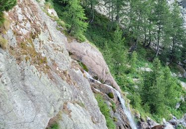 Excursión Senderismo Belvédère - montée  - Photo