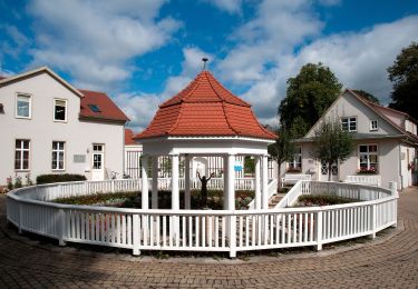 Tour Zu Fuß Kranichfeld - lokales Wegenetz Gelber Balken - Photo