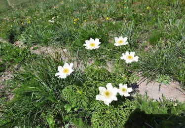 Trail Walking Les Deux Alpes - les 2 alpes - Photo