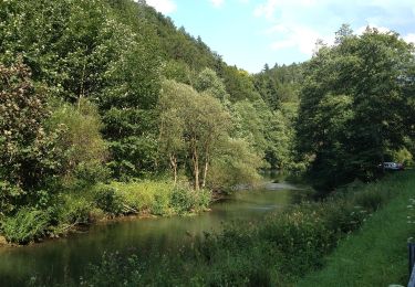 Randonnée A pied Waischenfeld - Rundweg Riesenburg - Engelhardsberg - Schottersmühle - Photo