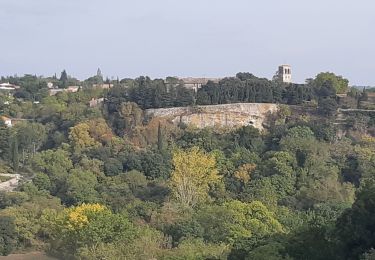 Tour Wandern Moussoulens - Moussoulens tour de lz Roujeanne - Photo