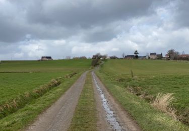 Randonnée Marche Ellezelles - La Hamaide 9,5 Km - Photo