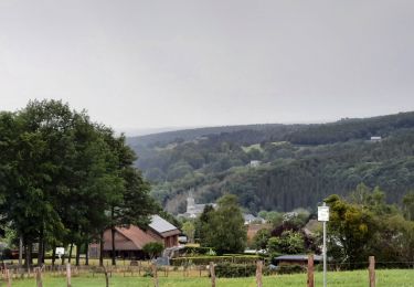 Trail Walking Aywaille - Château de Harze, St Roch, Rouge minière,  Ernonheid, capelle st Anne Harze - Photo