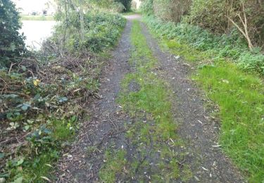 Tocht Stappen Condé-sur-l'Escaut - 8/10/2023 - Photo