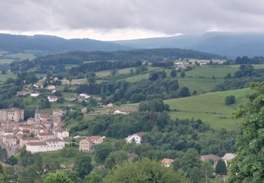 Tour Wandern Chausseterre - retour TOP 03 - Photo