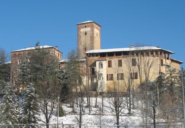 Percorso A piedi Massazza - IT-T03 - Photo