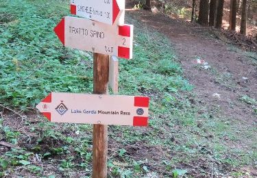 Trail On foot Malcesine - Sentiero dei Contrabbandieri - Photo