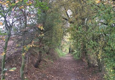 Tour Wandern Le Rœulx - 81.073 Gottignies - Petite Suisse Rhodienne  - Photo