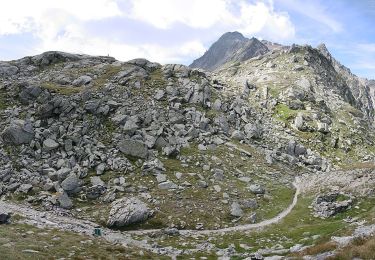 Trail On foot Binn - Via dell' Arbola tappa 2 CH - Photo