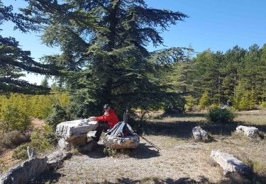 Trail Walking Saint-Saturnin-lès-Apt - petite boucle St Saturnin - Photo