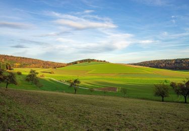 Excursión A pie  - Rundwanderweg Neunkirchen 1: Krähenrain-Weg - Photo