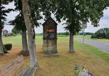 Tour Zu Fuß Much - Much Rundweg A6 - Photo