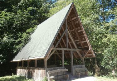 Tour Zu Fuß Jagsthausen - Olnhausen-Bannholz - Photo