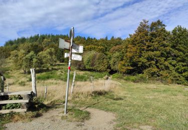 Randonnée Marche Goldbach-Altenbach - Firstacker Glasshütte - Photo