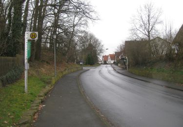 Percorso A piedi Felsberg - Hessens Krone - Photo