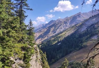 Trail Walking La Clusaz - le Crêt du loup la clusaz - Photo