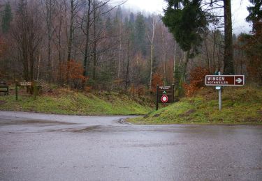 Randonnée A pied Nothweiler - Grenzgängerweg / Le sentier à saute frontier - Photo