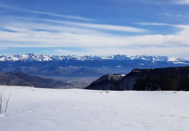 Tocht Sneeuwschoenen Autrans-Méaudre en Vercors - La Grande Brèche - La Buffe - La Sure (2022) - Photo