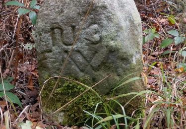 Percorso A piedi Nidderau - Eiche - Photo