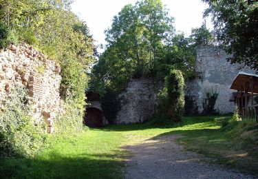 Randonnée A pied Aitrach - Aitracher Seeweg - Photo