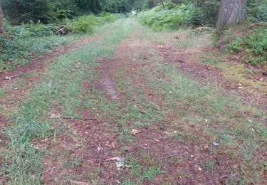 Randonnée Marche Viroinval - oignies en thierachie  - Photo