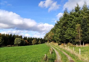 Trail Walking Lierneux - Promenade vers la réserve naturelle de Colanhan (8km)  - Photo