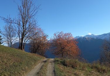 Trail Walking Demonte - Balisage Demonte - Photo