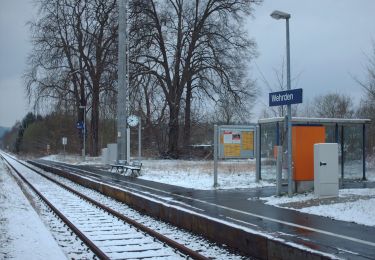 Tour Zu Fuß Beverungen - Weserhöhen-Wanderung 