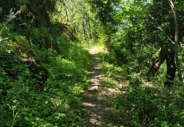 Trail Walking Contamine-Sarzin - Contamine Sarzin Cascade Barbannaz - Photo