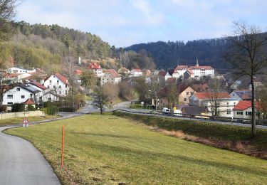 Randonnée A pied Berching - Wasser- und Mühlenweg - Photo