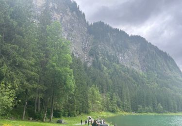 Tour Wandern Montriond - Lac de Montrion, cascade d’Argent - Photo