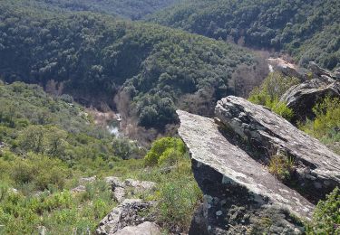 Trail Walking Les Arcs-sur-Argens - Les Arcs - Forêt Apiès depuis Pont d'Aille - Photo