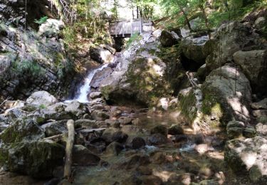 Trail Walking Saint-Vincent-de-Mercuze - les cascades Alloix et l' Enversin - Photo