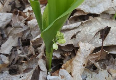 Trail Walking Champigny - 02 avril 21 - Photo