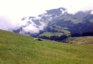 Trail On foot Escholzmatt-Marbach - Nesslenboden - Unt. Schübelsmoos - Hürnli - Photo