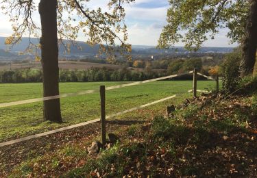 Trail Mountain bike Liège - Liège Chênée Chèvremont Beyne-Heusay - Photo