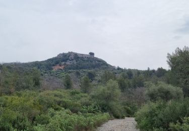 Tour Wandern Évenos - Ste Anne-Pipaudon-Evenos by DAL - Photo