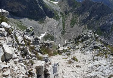 Tocht Stappen Pralognan-la-Vanoise - Pralognan - Col et pointe de leschaux - 17/07/19 - Photo