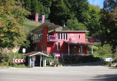 Percorso A piedi Urbach - Urbach-Eselshalden-Laufenmühle - Photo