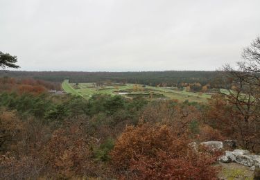 Randonnée Marche Fontainebleau - hippodrome 1 - Photo