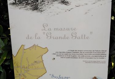 Randonnée Marche Tinlot - fraiture et ses alentours  - Photo